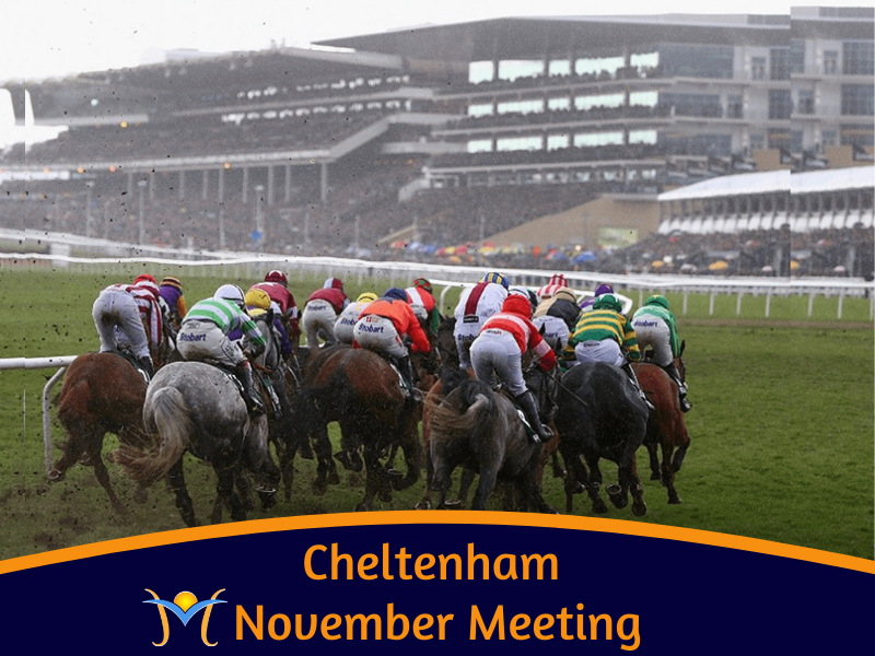 Cheltenham 2024 November Meeting 2 Night (2 days racing)